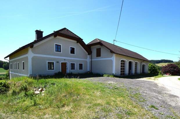 Mehrfamilienhaus kaufen in 4240 Waldburg (Bild 2)