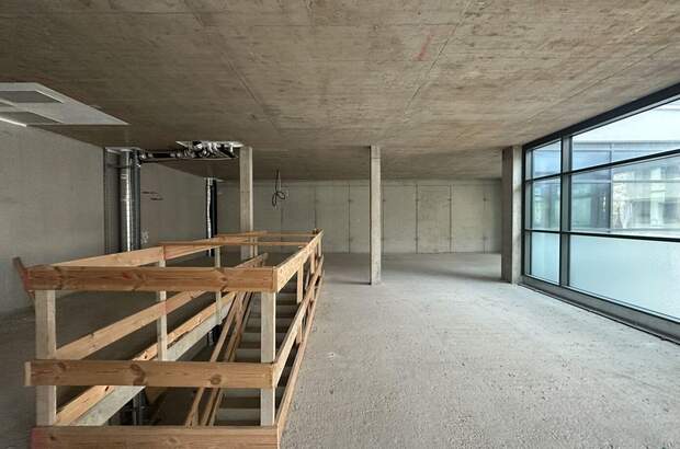 Gewerbeobjekt mieten in 1220 Wien (Bild 4)
