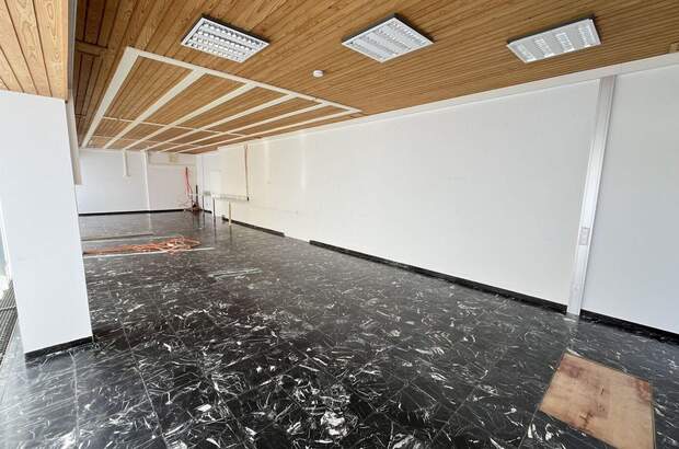 Gewerbeobjekt kaufen in 8811 Scheifling (Bild 4)