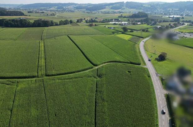Gewerbeobjekt kaufen in 8421 Breitenfeld (Bild 4)