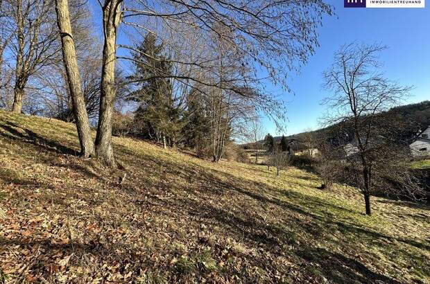 Grundstück kaufen in 8072 Fernitz (Bild 4)