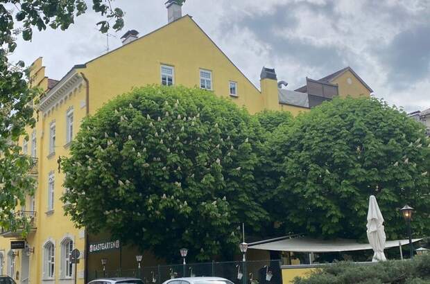 Gewerbeobjekt kaufen in 5020 Salzburg (Bild 5)