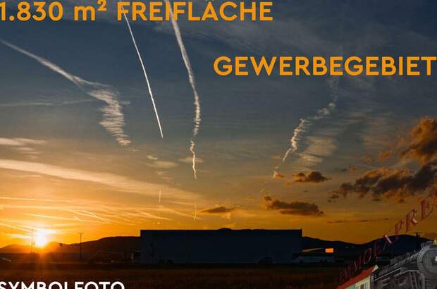 Gewerbeobjekt mieten in 2512 Tribuswinkel