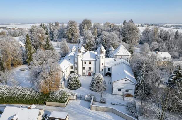 Schloss kaufen in 4693 Desselbrunn (Bild 1)