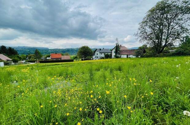 Grundstück kaufen in 9162 Ferlach