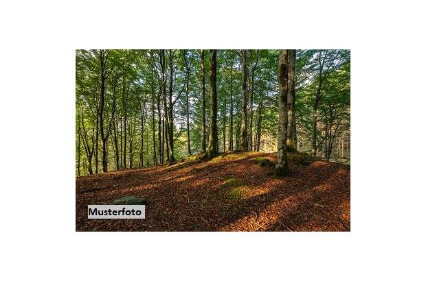 Grundstück kaufen in 8544 Pölfing (Bild 1)