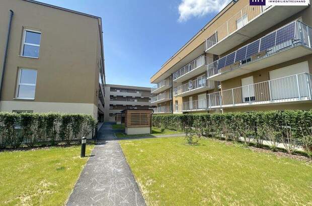 Terrassenwohnung kaufen in 8401 Kalsdorf (Bild 3)