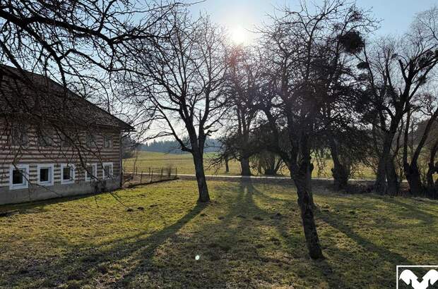 Haus kaufen in 4522 Sierning (Bild 3)