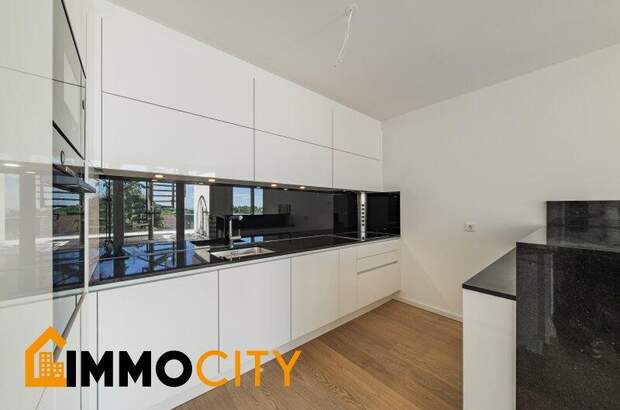 Terrassenwohnung mieten in 1130 Wien (Bild 4)