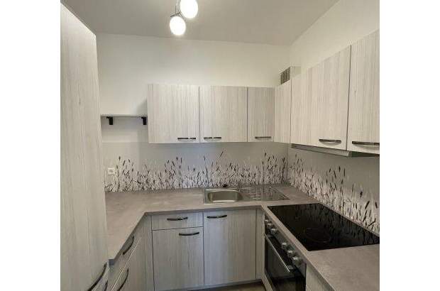 Terrassenwohnung mieten in 3160 Traisen (Bild 2)