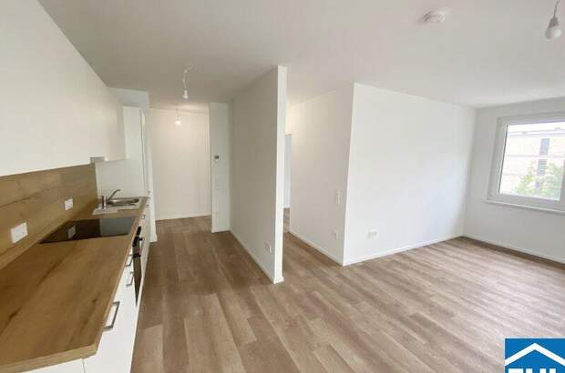 Terrassenwohnung mieten in 3451 Michelhausen (Bild 4)