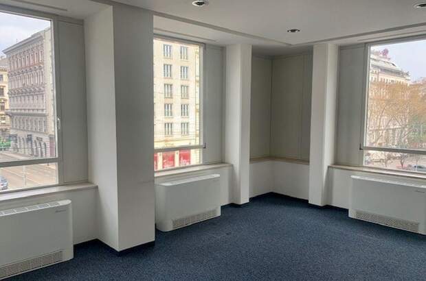 Gewerbeobjekt mieten in 1090 Wien (Bild 4)