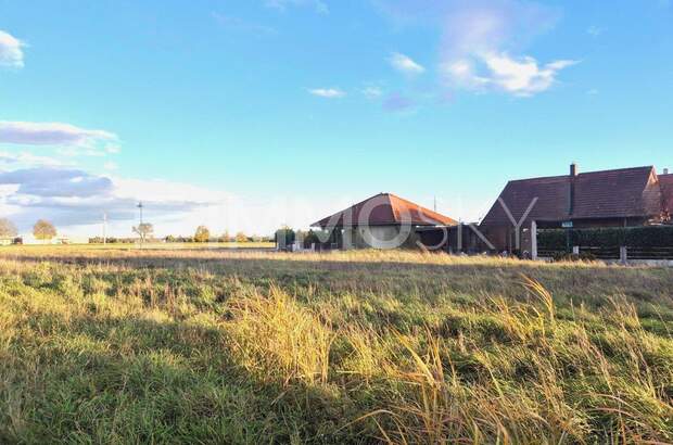 Grundstück kaufen in 4064 Oftering (Bild 3)