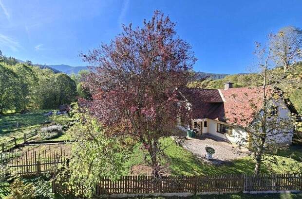 Haus kaufen in 3195 Kernhof (Bild 3)