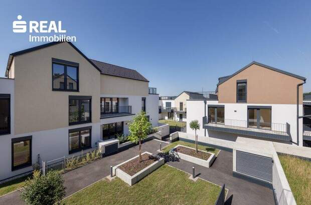 Terrassenwohnung kaufen in 2020 Hollabrunn (Bild 1)