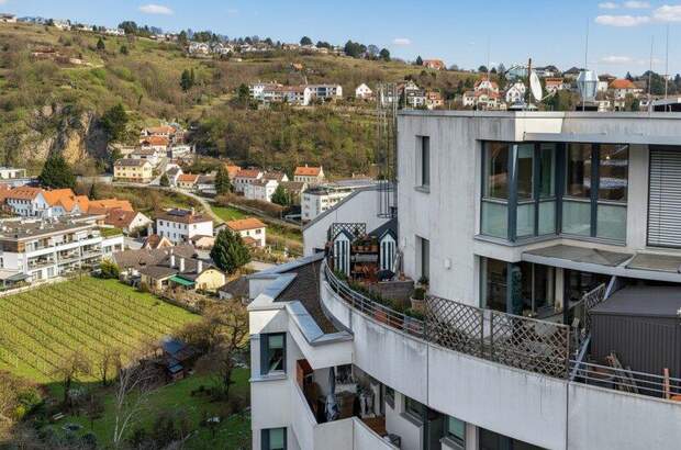 Terrassenwohnung kaufen in 3500 Krems (Bild 3)