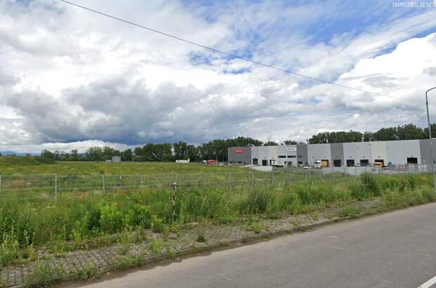 Gewerbeobjekt mieten (Bild 5)