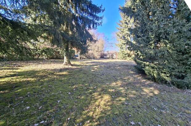 Gewerbeobjekt kaufen in 4060 Leonding (Bild 3)