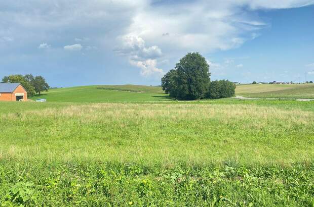 Grundstück kaufen in 4751 Dorf