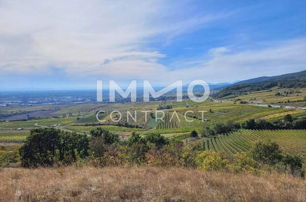 Grundstück kaufen in 2352 Gumpoldskirchen