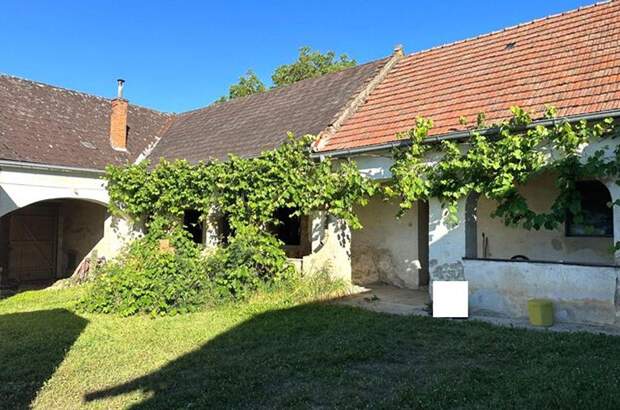 Haus mit Garten kaufen in 7400 Oberwart (Bild 1)