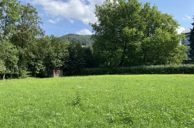 Wohnung mit Balkon kaufen in 4560 Kirchdorf (Bild 5)