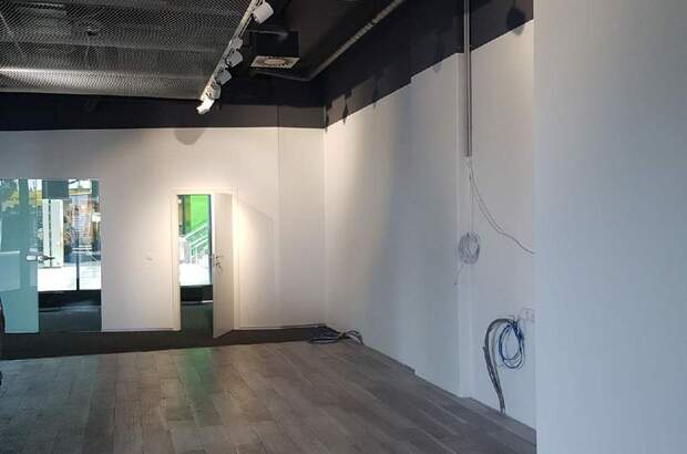 Gewerbeobjekt mieten in 1200 Wien (Bild 2)