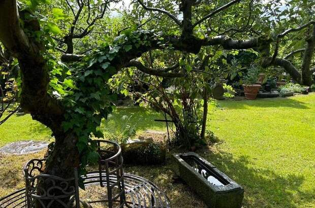 Grundstück kaufen in 8121 Deutschfeistritz (Bild 2)