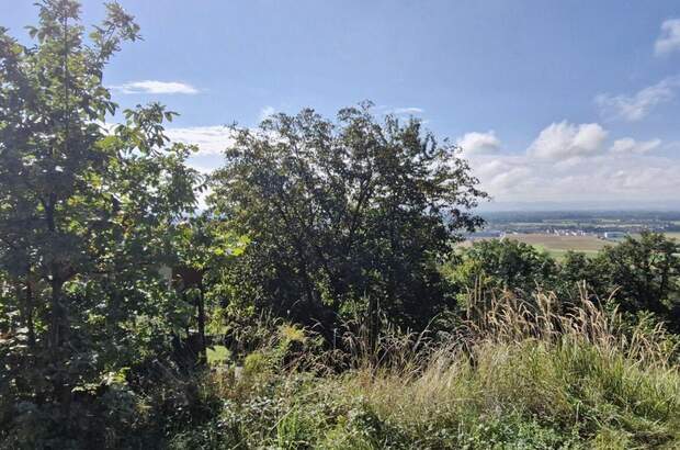 Grundstück kaufen in 4101 Feldkirchen (Bild 4)