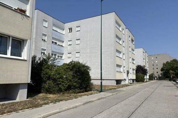 Terrassenwohnung kaufen in 2351 Wr. Neudorf (Bild 3)