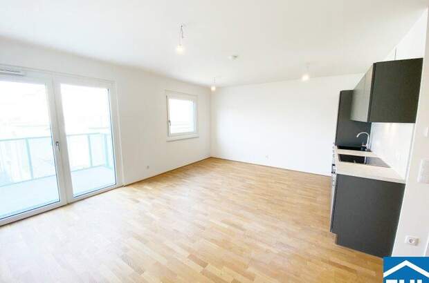 Terrassenwohnung mieten in 1110 Wien (Bild 1)