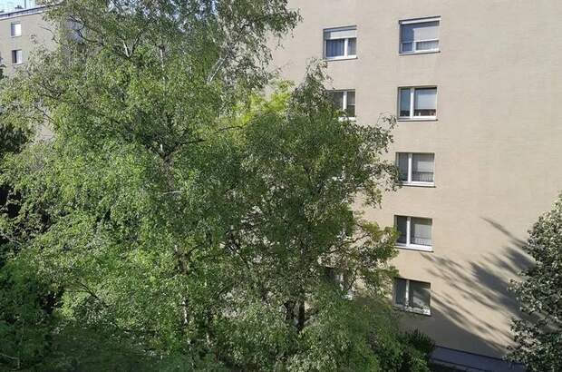 Wohnung mieten in 1180 Wien (Bild 4)