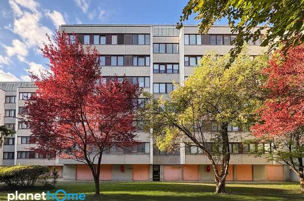 Wohnung kaufen in 1110 Wien (Bild 1)