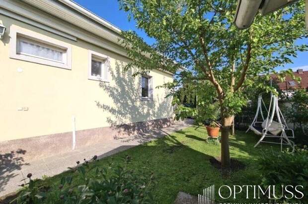 Mehrfamilienhaus kaufen in 2485 Wampersdorf (Bild 2)