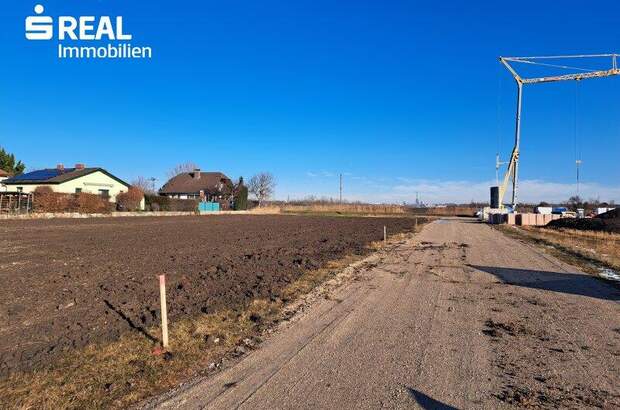 Grundstück kaufen in 2332 Hennersdorf (Bild 3)