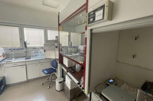 Gewerbeobjekt mieten in 1210 Wien (Bild 5)