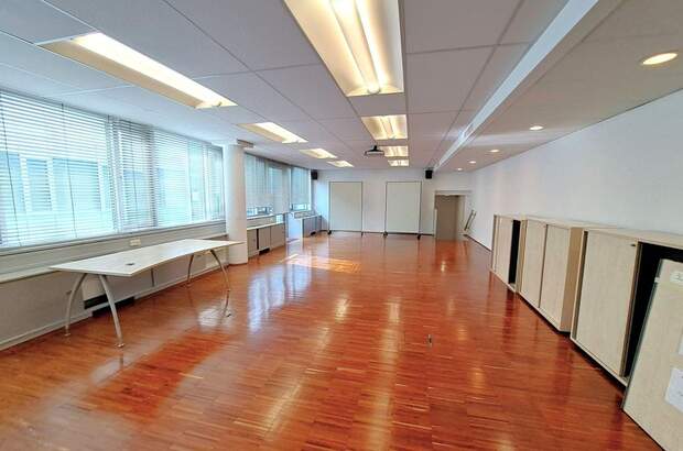 Gewerbeobjekt mieten in 1190 Wien (Bild 5)