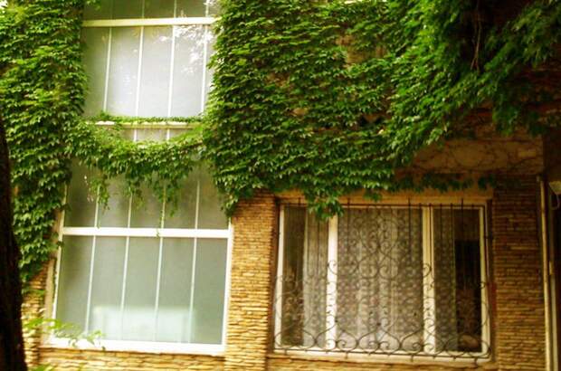 Wohnung mieten in 3430 Tulln (Bild 2)