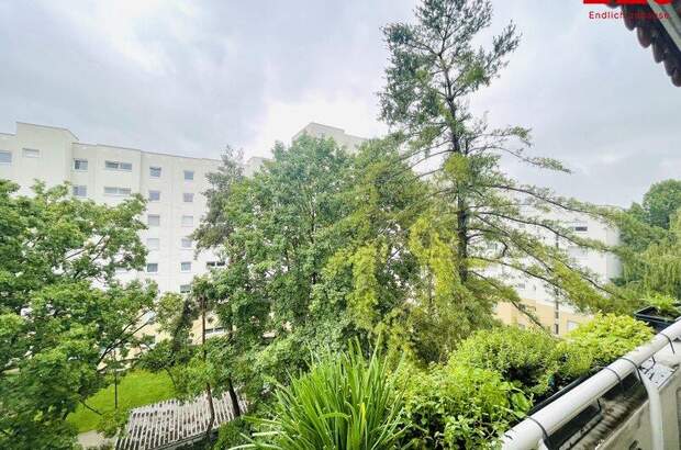 Terrassenwohnung mieten in 4020 Linz (Bild 1)