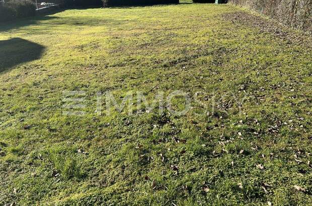 Grundstück kaufen in 4491 Niederneukirchen (Bild 5)