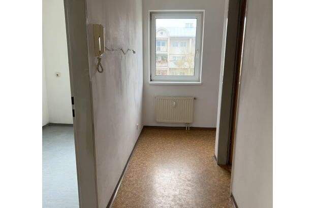 Terrassenwohnung mieten in 4470 Enns (Bild 3)