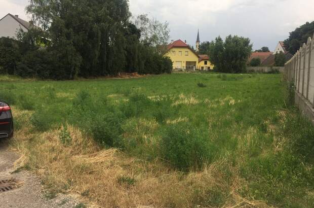 Grundstück kaufen in 3702 Niederrußbach (Bild 2)