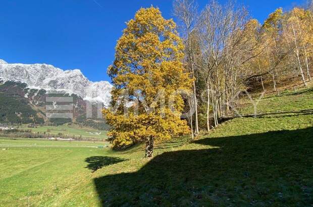 Grundstück kaufen in 8960 Niederöblarn (Bild 4)