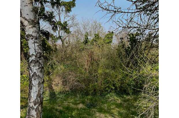 Grundstück kaufen in 2201 Gerasdorf (Bild 4)