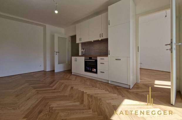 Wohnung mit Balkon mieten in 1190 Wien (Bild 2)