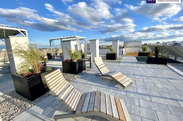 Terrassenwohnung mieten in 2320 Schwechat (Bild 2)
