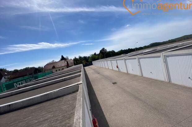 Immobilie kaufen in 4600 Wels (Bild 5)