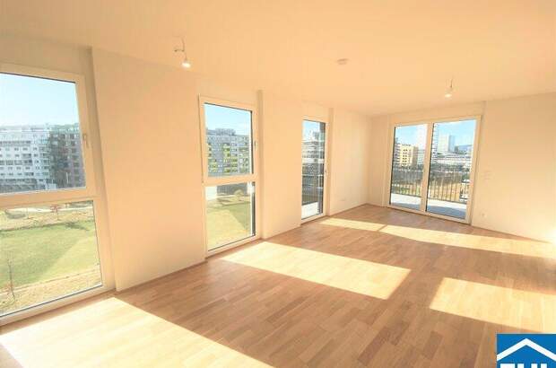 Terrassenwohnung mieten in 1100 Wien (Bild 1)