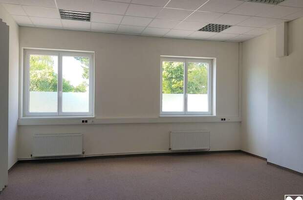 Gewerbeobjekt mieten in 3430 Tulln (Bild 4)