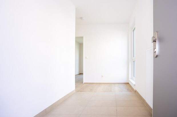 Terrassenwohnung kaufen in 2700 Wr. Neustadt (Bild 3)